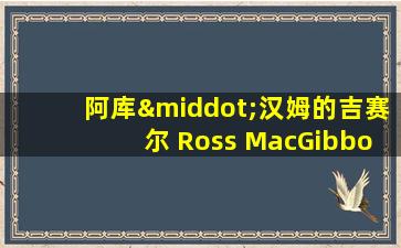 阿库·汉姆的吉赛尔 Ross MacGibbon 在线看